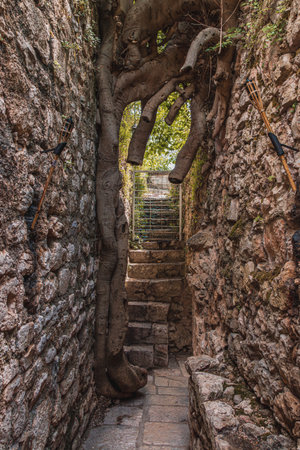 Krk Croatia 26.06.24 Entrance to the secret garden of the cafe near the pier