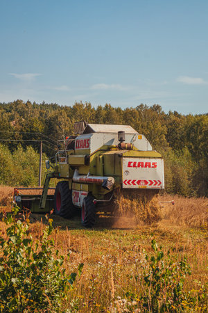 Lviv Ukraine 16.08.24 Combine harvesters are harvesting near the forestのeditorial素材