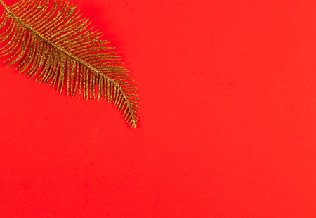 Christmas decoration of leaves on a red backgroundの写真素材