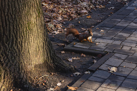 A lively squirrel darts across a cobblestone path surrounded by fallen leaves in a serene park. The...