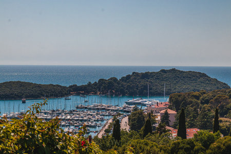 Aerial view of the port of Vrsar Orsera town Vrsar Croatia High quality photoの写真素材