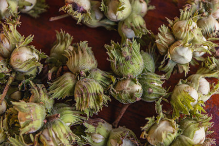 A pile of hazelnuts on a table outside High quality photo