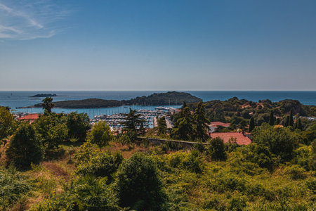 Panorama of historic Vrsar on the Istrian peninsula, Croatia, with pine forests High quality photoの写真素材