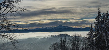 A serene winter view from Polyanytsia, Ukraine showcases snow-covered mountains under a cloudy sky. The silhouette of distant peaks contrasts with a foggy valley below, creating a breathtaking scene.の写真素材