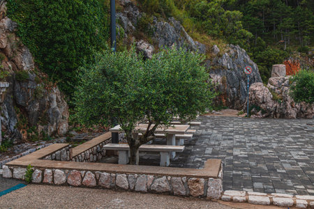 A tranquil area features rustic benches set in stone, surrounded by lush greenery and rocky cliffs. Ideal for socializing or enjoying nature, this spot invites relaxation.の写真素材