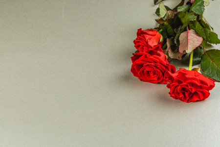 Three vibrant red roses are elegantly placed with green leaves on a soft neutral surface, creating a calming and romantic atmosphere.の写真素材