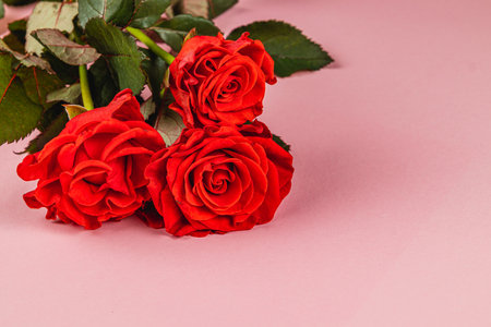 Three vibrant red roses with lush green leaves are arranged on a soft pink background, creating an elegant and romantic atmosphere suitable for various occasions.の写真素材
