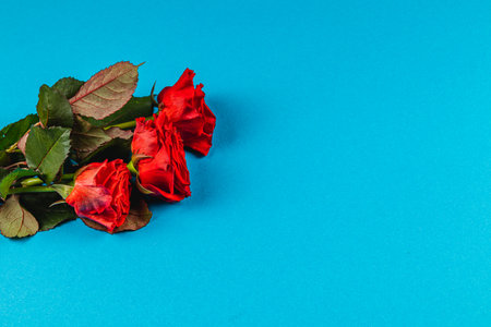 A cluster of dried red roses rests against a vibrant blue background. The petals appear withered, emphasizing the passage of time and the beauty of faded blossoms.の写真素材