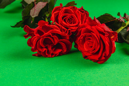 Beautiful red roses are carefully arranged against a bright green background, showcasing their rich color and delicate petals. This setting emphasizes the elegance of the flowers.の写真素材