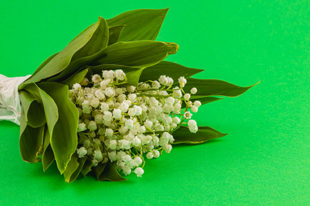A bouquet featuring delicate lily of the valley flowers, showcasing their white blooms and green leaves, set against a vibrant green background.の写真素材