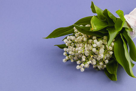 A fresh bouquet of lily of the valley rests against a soft purple backdrop, showcasing delicate white flowers and vibrant green leaves, perfect for spring decor.の写真素材