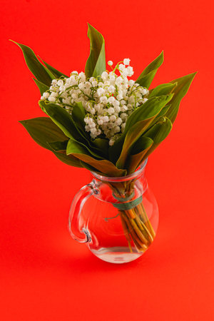 A bouquet of lily of the valley, featuring delicate white blooms and green leaves, is displayed in a clear glass vase against a bright red backdrop.の写真素材
