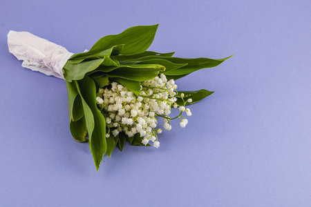 A delicate bouquet of lily of the valley is wrapped and placed on a smooth lavender background. The flowers exude elegance and charm, perfect for any occasion.の写真素材