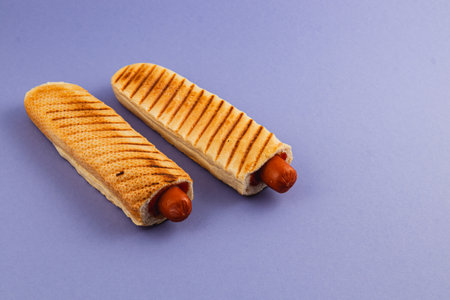 Two grilled hot dogs nestled in toasted bread rolls are placed on a soft purple background, showcasing their delicious appearance and inviting texture.の写真素材