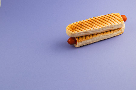 A hot dog is served in a toasted bun, showcasing grill marks. The simple presentation highlights this popular snack against a vibrant purple backdrop.の写真素材