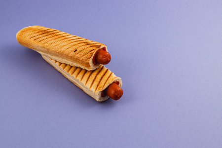 Two perfectly grilled hot dogs sit in toasted buns with distinct grill marks against a purple background, showcasing a delightful snack ready to enjoy.の写真素材