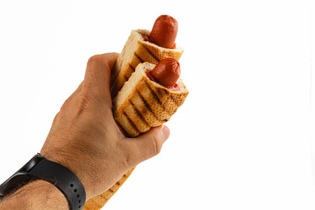 A hand securely grips two grilled hot dogs wrapped in toasted bread. The simple snack stands out against a plain background, showcasing a tasty meal option.の写真素材