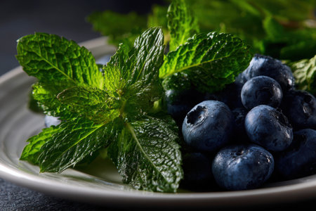 Juicy blueberries and vibrant mint leaves are artistically placed on a white plate, showcasing their freshness and colorful appeal in natural lighting.の素材