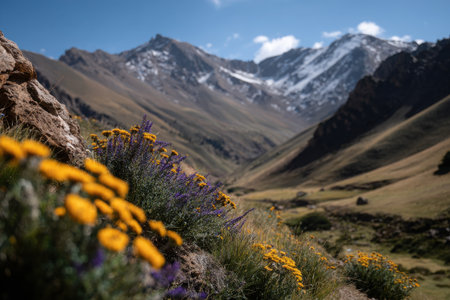 Bright yellow and purple wildflowers bloom in a mountainous region, with snow-capped peaks and lush valleys visible under a clear blue sky.の素材