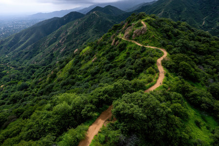 A winding dirt trail leads up a mountain surrounded by vibrant green foliage. In the distance, a city skyline is partially visible beneath a cloudy sky.の素材