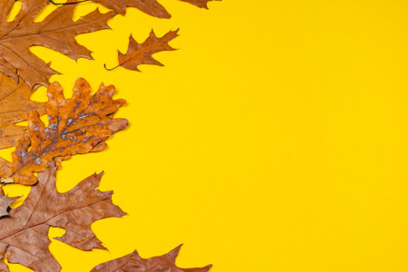 Dried autumn leaves in various shapes and sizes are scattered on a vibrant yellow surface, capturing the essence of the fall season in a warm and lively setting.の写真素材