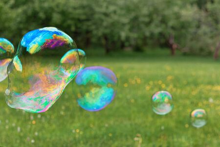 Soap bubbles in nature. holiday for children