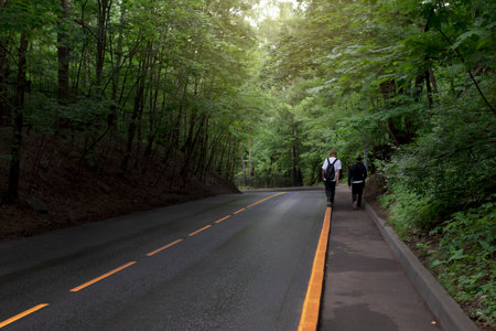 Paved road through the forest and two pedestrians