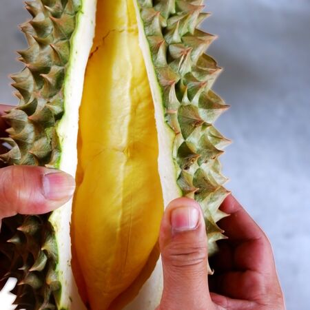 Close-up Durian Monthong in my hand.