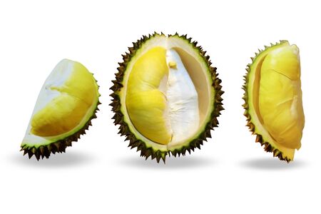 Durian Set on white background.の写真素材