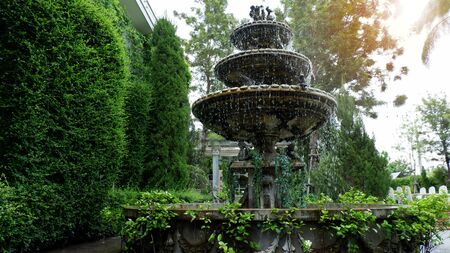 Small fountain in the middle of the green park.の写真素材