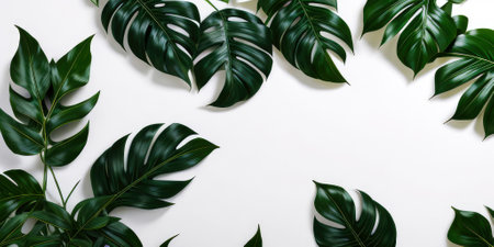 Template design tropical green leaves on white background,Generative AI.の素材