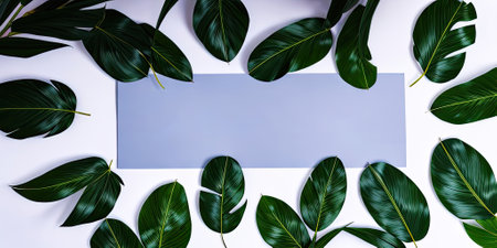 Template design tropical green leaves on white background,Generative AI.の素材