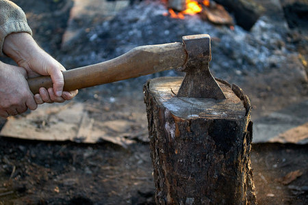 woodworking tool ax in the stump for cutting trees and firewood destruction of diseased trees