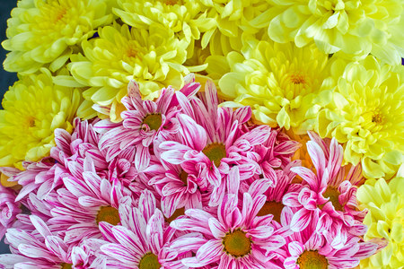 flower arrangement bouquet of yellow and pink gerberasの写真素材