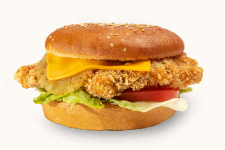 delicious burger isolated for menu fast foodの写真素材