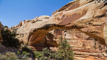 Capitol Reef national parkの写真素材