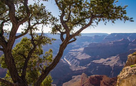 grand canyon national parkの写真素材