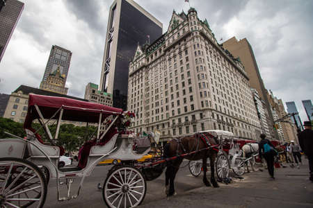 Central park new yorkのeditorial素材