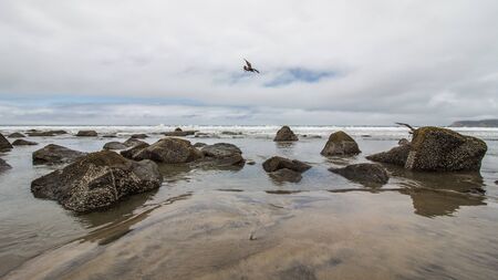 san diego californiaの写真素材