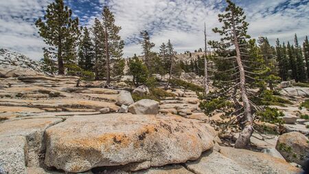 Yosemite national park
