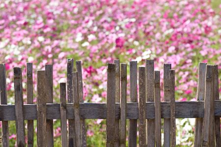 age fence with blurred flower in the back groundの写真素材