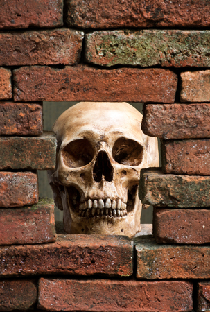human skull behind the hole of old brick wallの写真素材