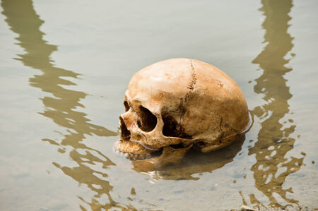 skull at riverbankの写真素材