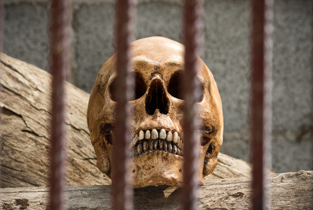 Human skull behind iron bars in prisoner conceptの写真素材