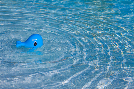 A whale shape baby toy swimming in a poolの写真素材