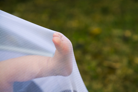 Newborn feet trapped and pushing a mosquito netの写真素材