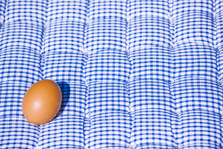 Egg on a blue and white pillow under the sun in summertimeの写真素材