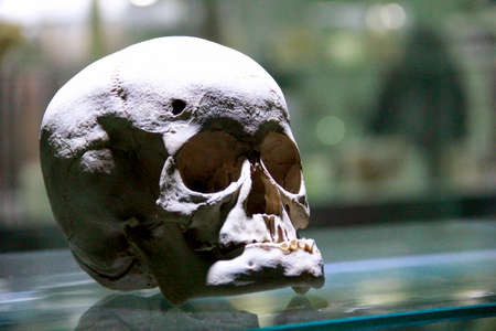 Close up of a human skullの写真素材