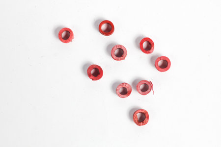 A collection of scattered gas cylinder regulator seals isolated on a white background