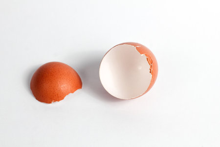 Broken egg on a white background.